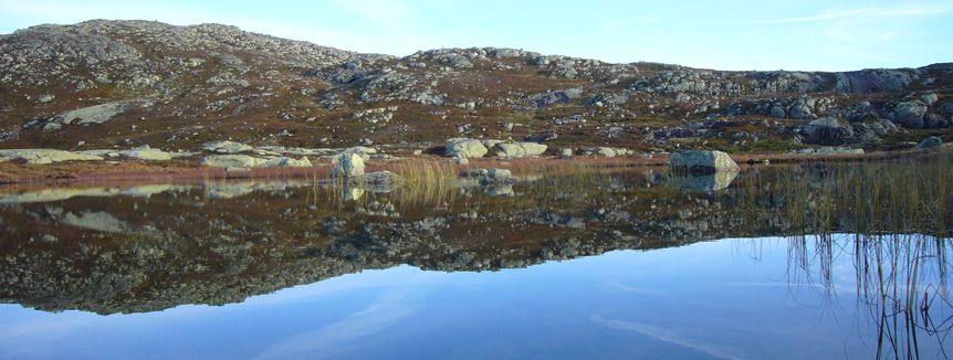 Https://Www.Itcca.Com/Norway/Norway/Original